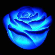 LED color changing realistic rose decoration